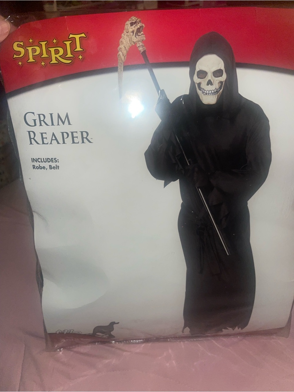 Spirit Grim Reaper Adult costume-